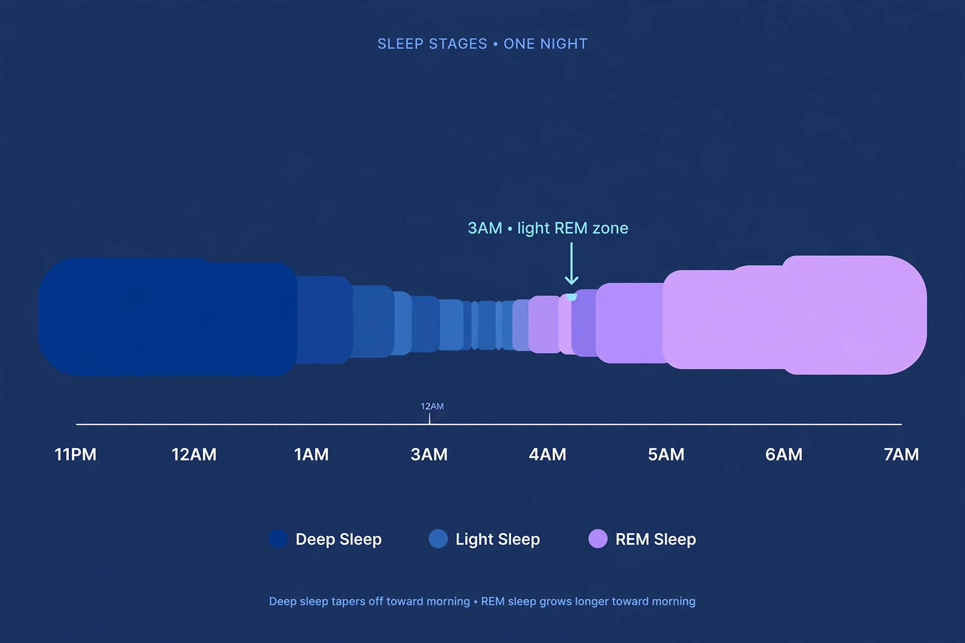 Diagram of sleep stages across the night showing why waking up at 3am happens during light REM sleep